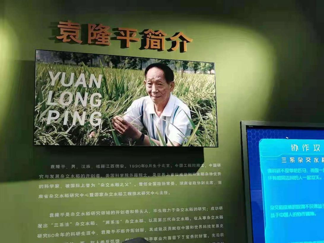 我院师生悼念袁隆平院士：巨星陨落，精神长存！